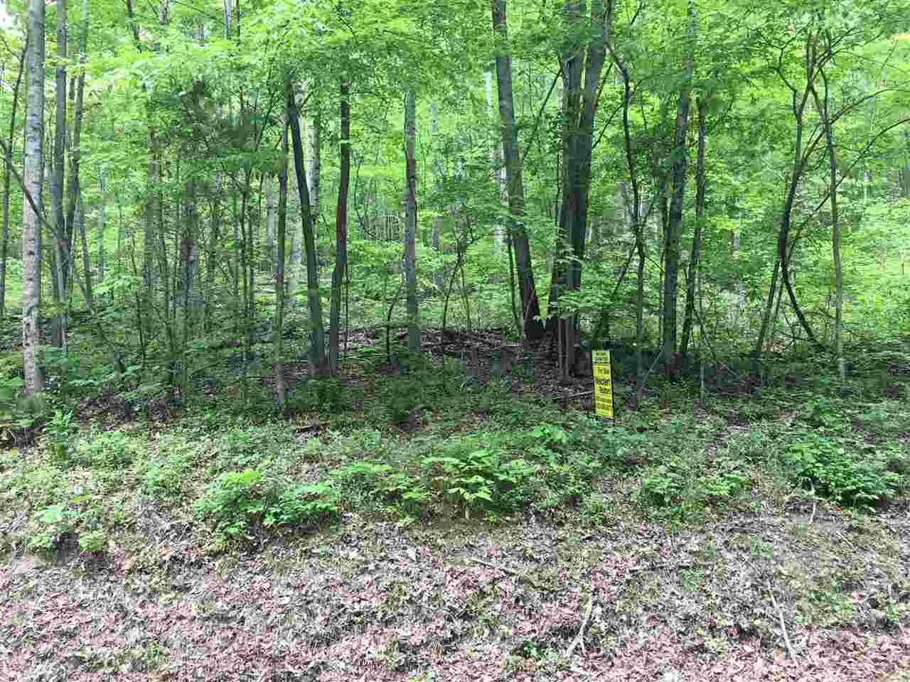 000 County Road 60 - Photo 1