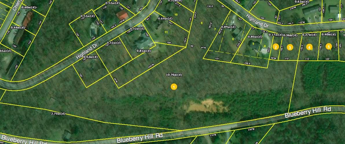 Blueberry Hill Rd - Photo 1