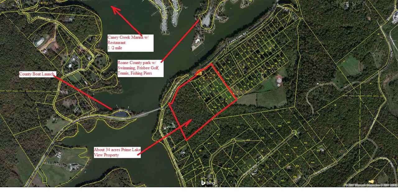 34 Acres Caney Creek Rd - Photo 1