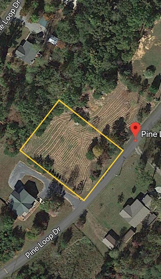 Pine Loop - Photo 1