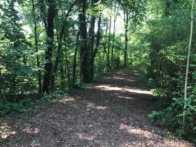 00 Eldridge Dr. - Photo 1