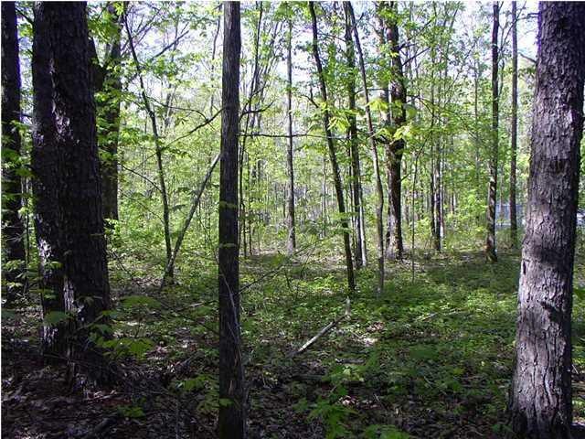 36 Window Rock Road - Photo 1