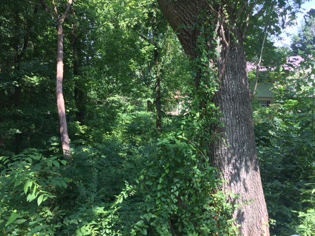 Lot 7 Nw Davis Circle - Photo 1