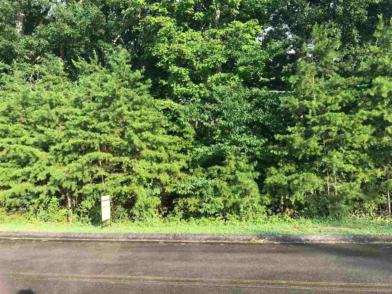 184 Elm Street - Photo 1