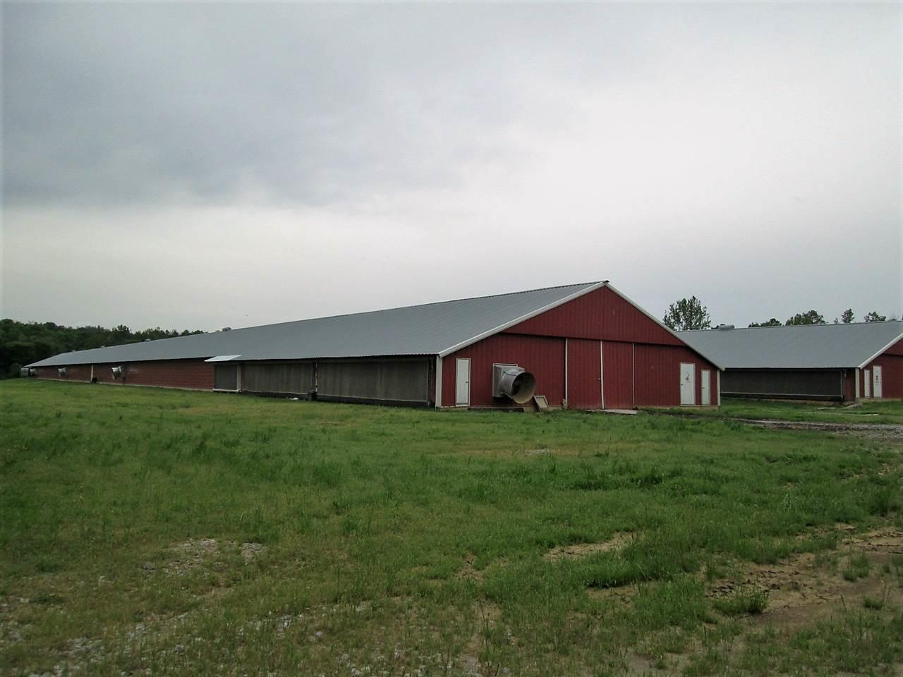 1576 Horns Creek Rd - Photo 1