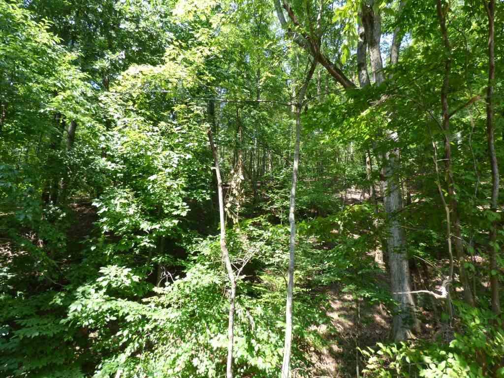 Lot 533 Rockview Drive - Photo 1