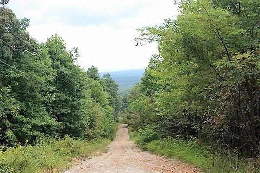 72.27 Acres Browns Holler - Photo 1