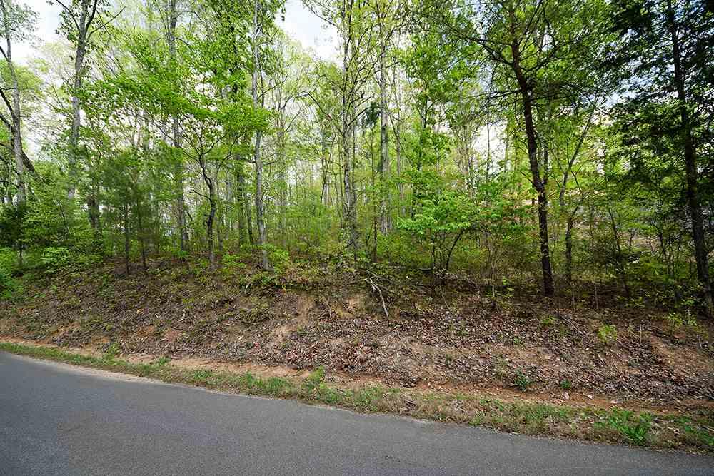 Lot 8 Van Davis Road Nw - Photo 1