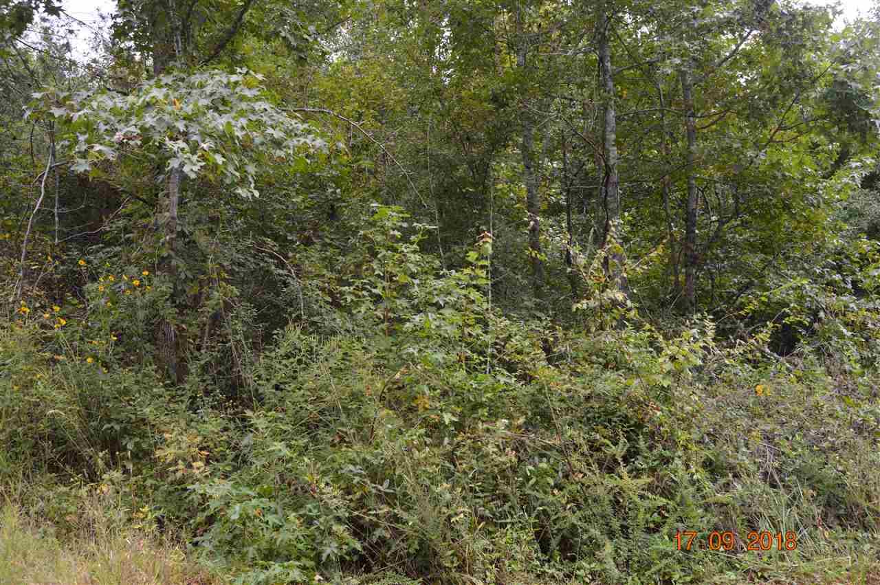 00 Proffitt Lane - Photo 1