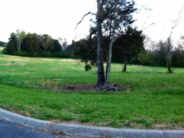 Lot 4 County Road 703 - Photo 1