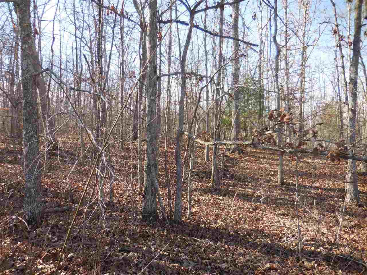 3008 Diego Drive - Photo 1