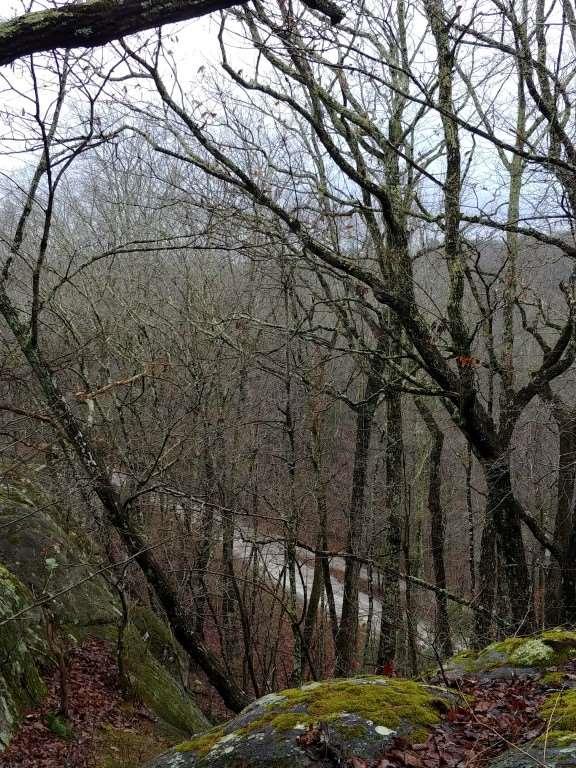 812 Dunn Road - Photo 1