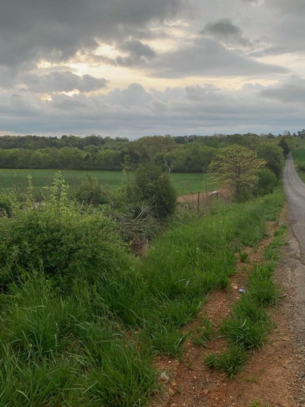 00 Wilkinson Road - Photo 1