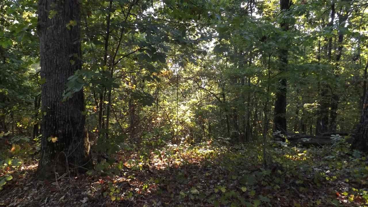 lot 143 & 144 Spruce Drive - Photo 1