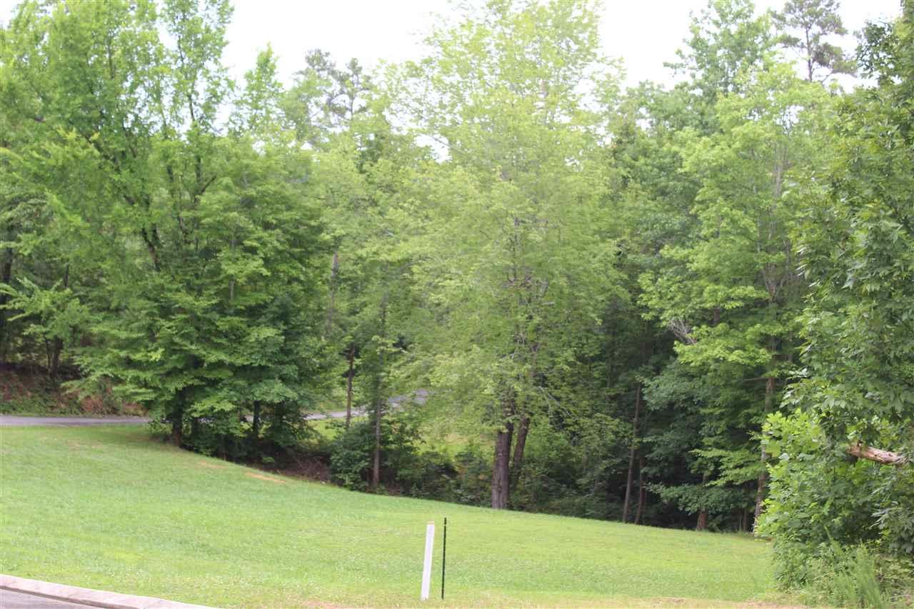 Lot 20 Wood Chase - Photo 1