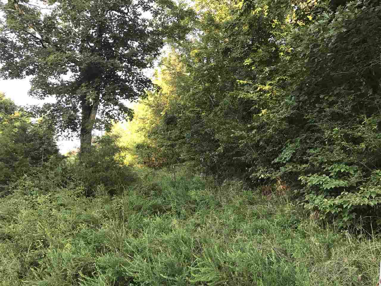 Lot 25 Redman Road/ Valley Road - Photo 1