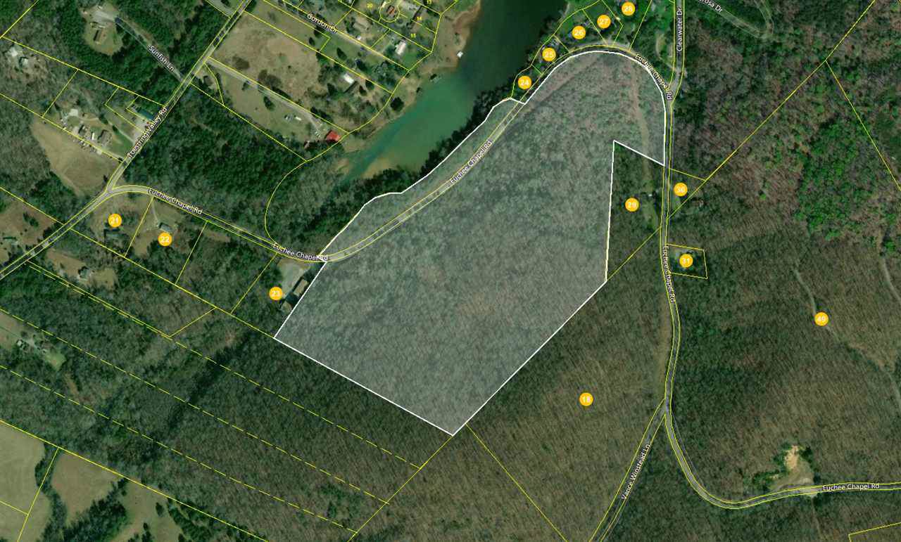 51.5ac Euchee Chapel Road - Photo 1
