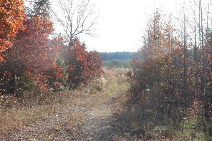 272 County Road 635 - Photo 1