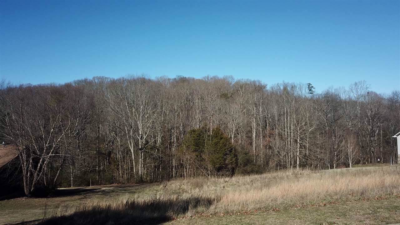 Lot#4 County Road 327 - Photo 1