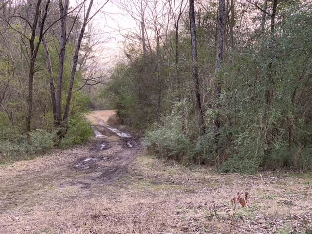 9280 Hooper Hollow - Photo 1