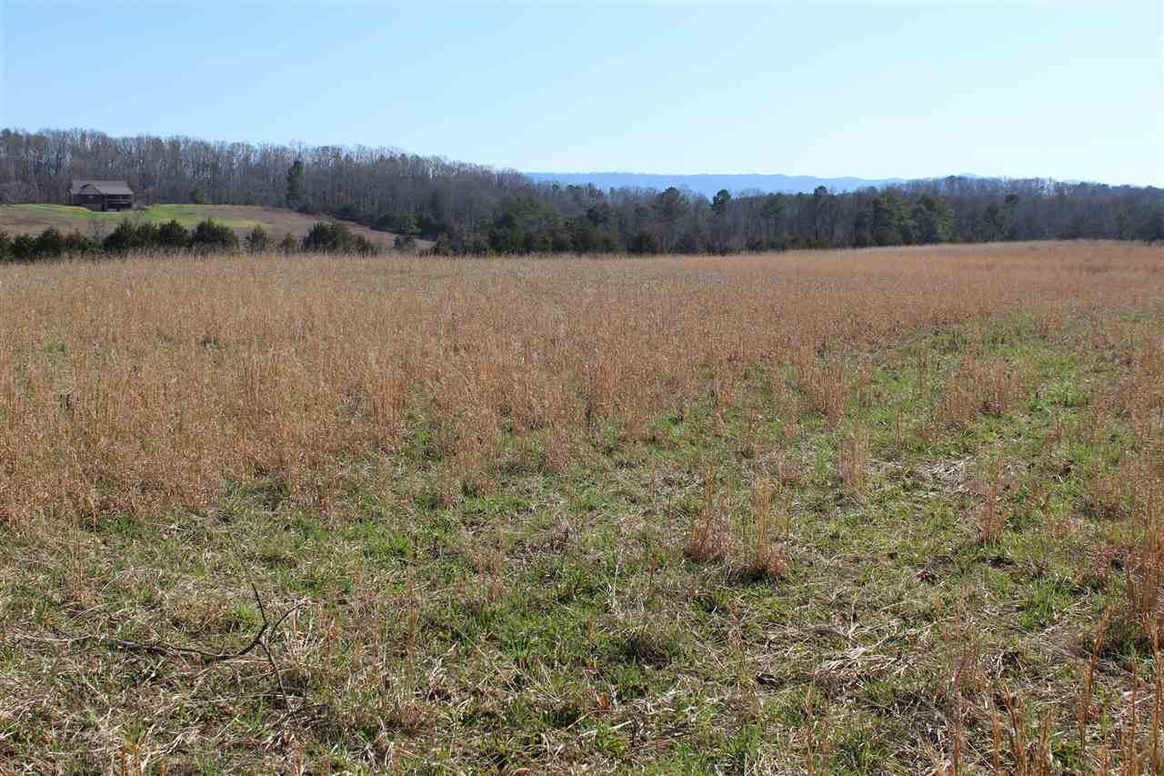6.27 acres Chestuee Rd - Photo 1