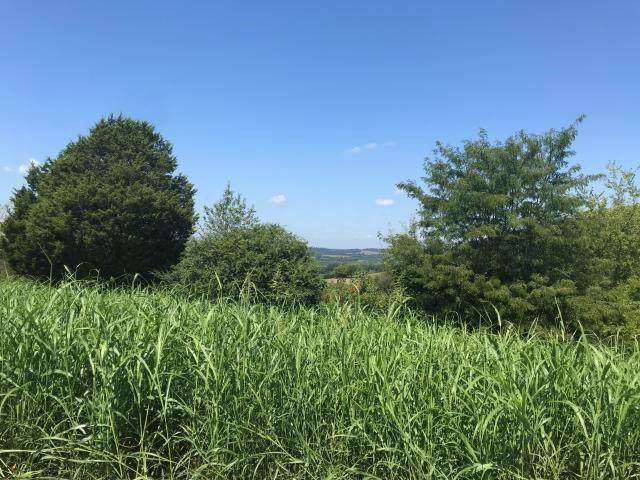 lot 28 High Ridge Road - Photo 1