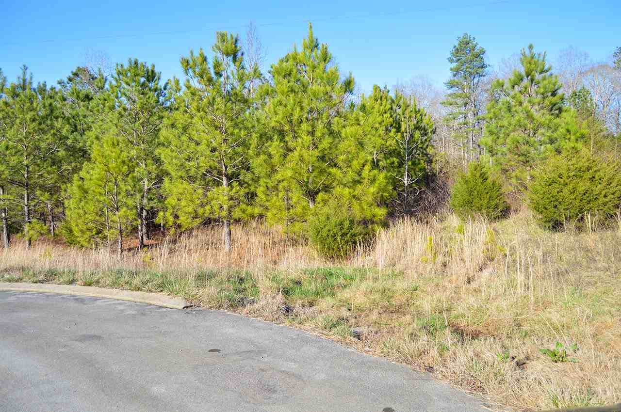 Lot 22 Hickory Oaks Pointe - Photo 1
