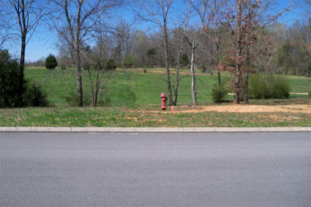 Lot 66 Covenant Drive Se - Photo 1