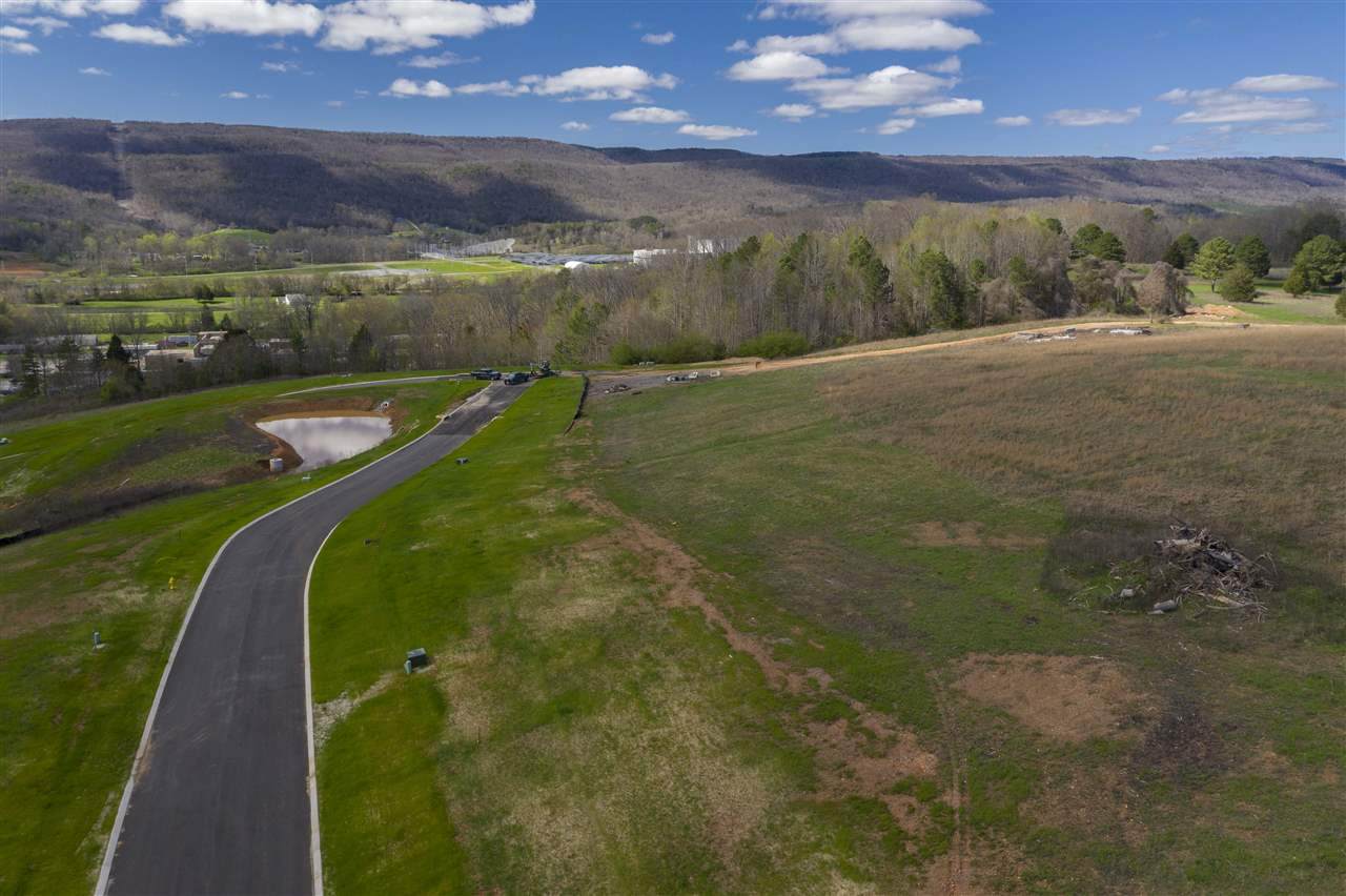 Lot 50 Mockingbird Lane - Photo 1