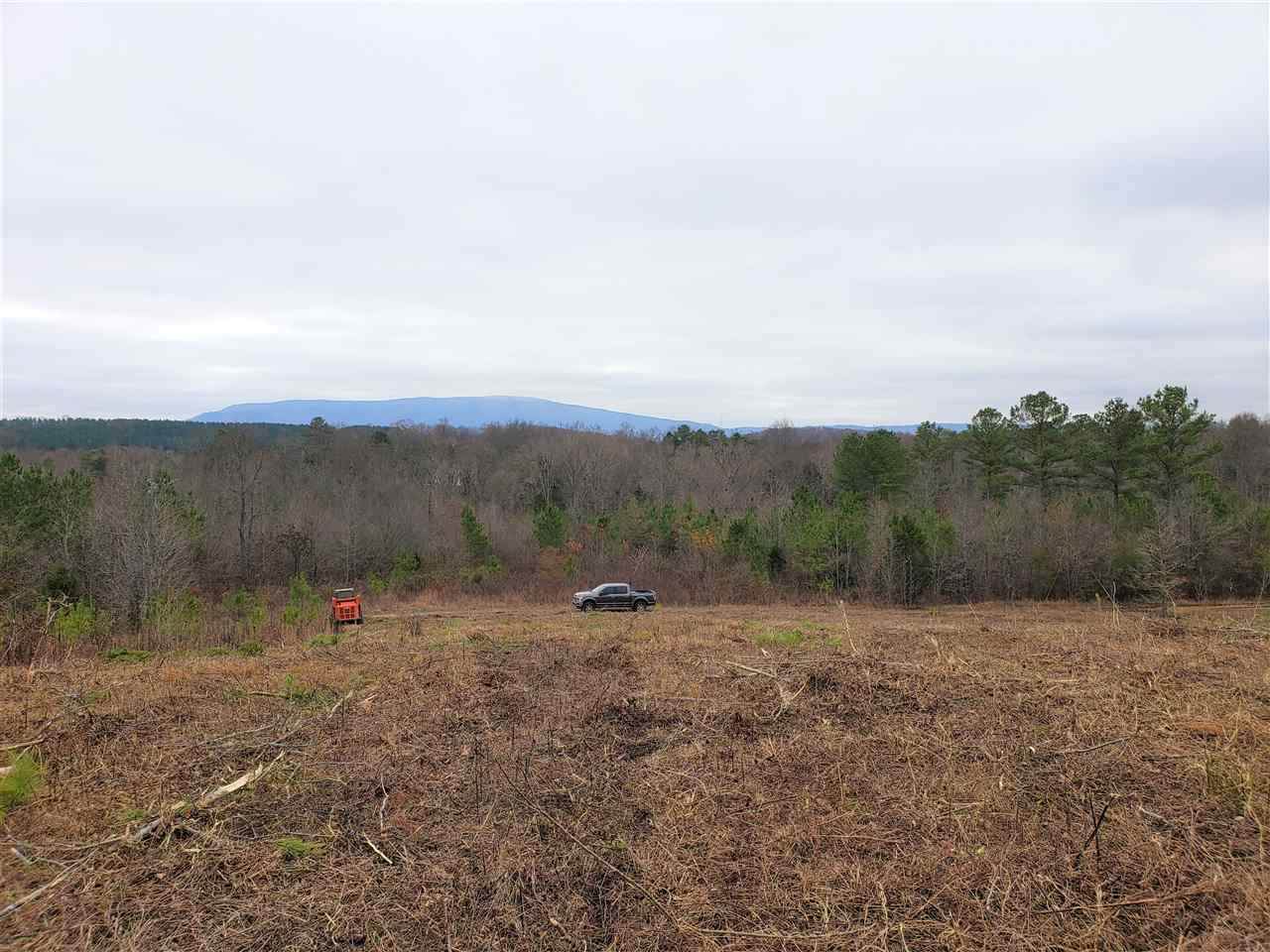 0 County Road 966 - Photo 1
