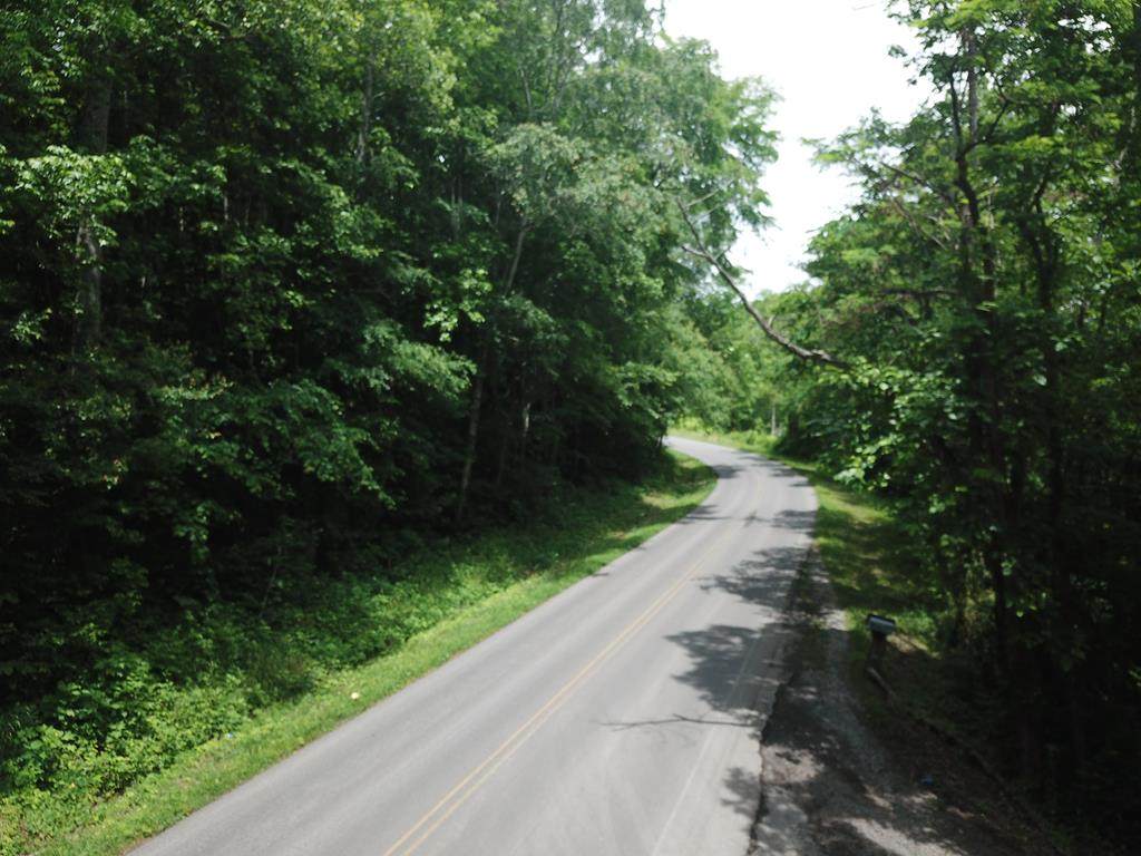 Lot#2 County Road 422 - Photo 1