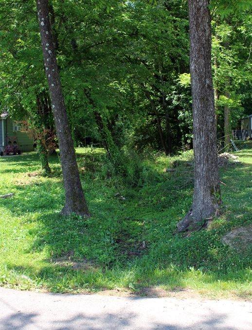 00 Polk Avenue - Photo 1