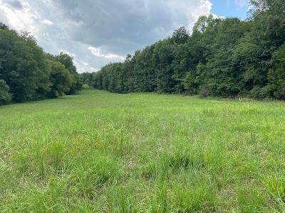 1189 County Road 20 (Tract 2) - Photo 1