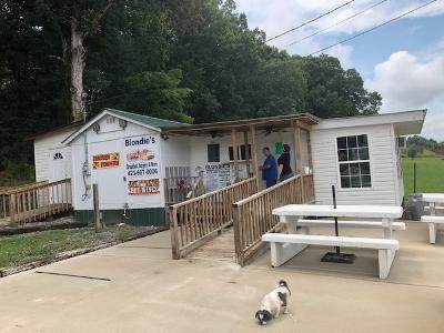 26750 Rhea County Highway - Photo 1