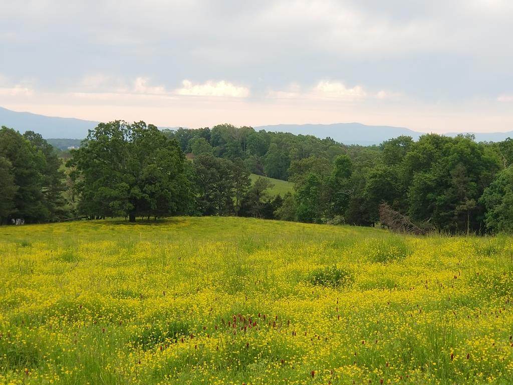 Lot 20 Wilkinson Rd - Photo 1
