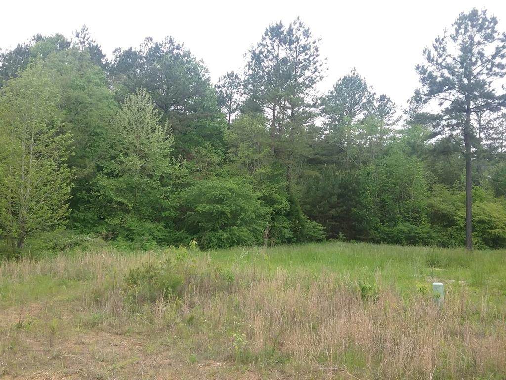 102 Giles Drive - Photo 1