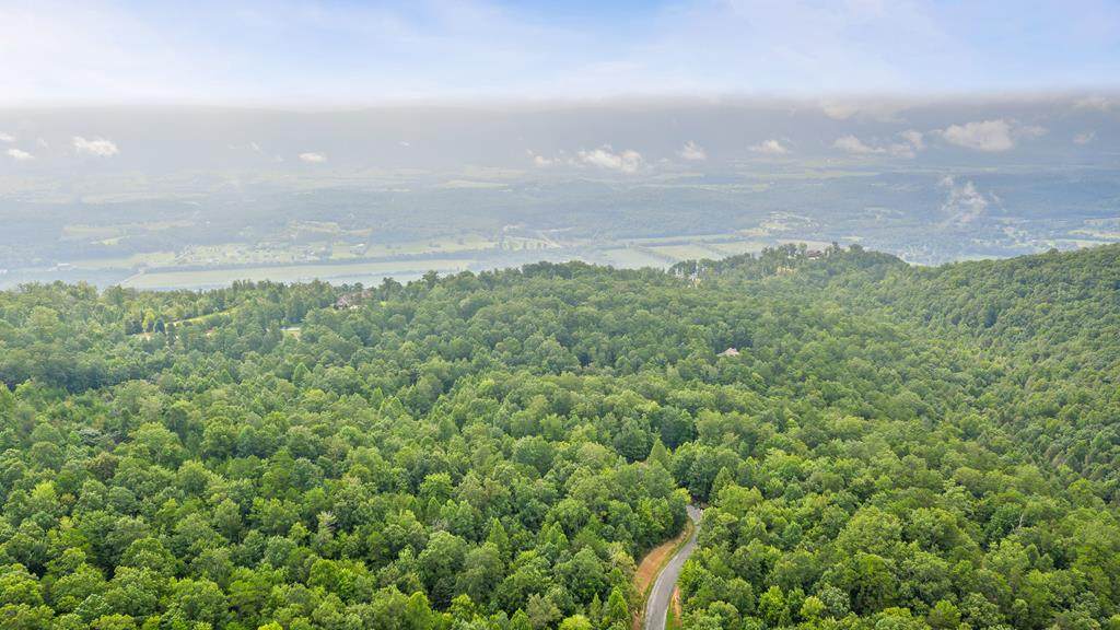 00 Tall Tree Trail - Photo 1