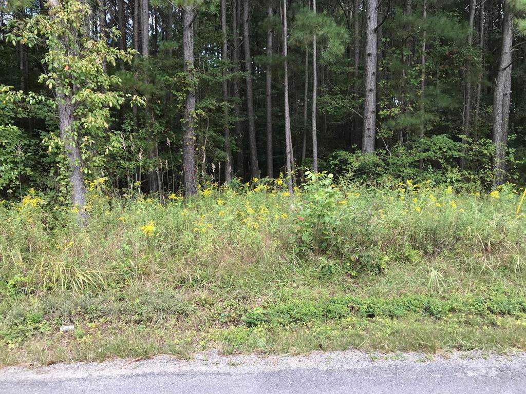 Lot 4 & 7 County Road 788 - Photo 1