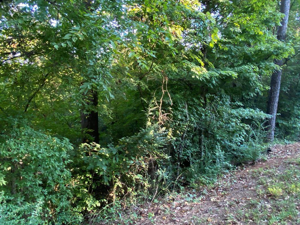 0 Georgia Terrace - Photo 1