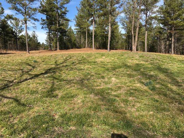 Lot 3 Old Parksville Rd. Ne - Photo 1