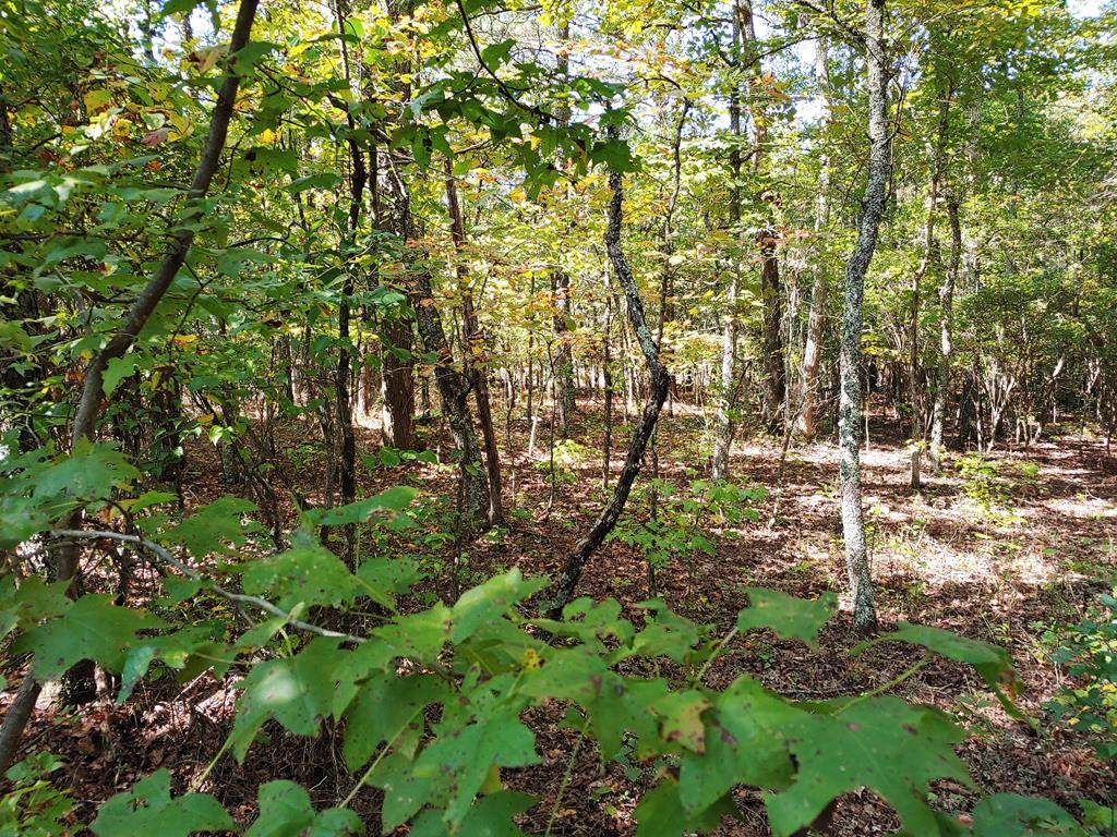 Lot 7 White Flats Road - Photo 1