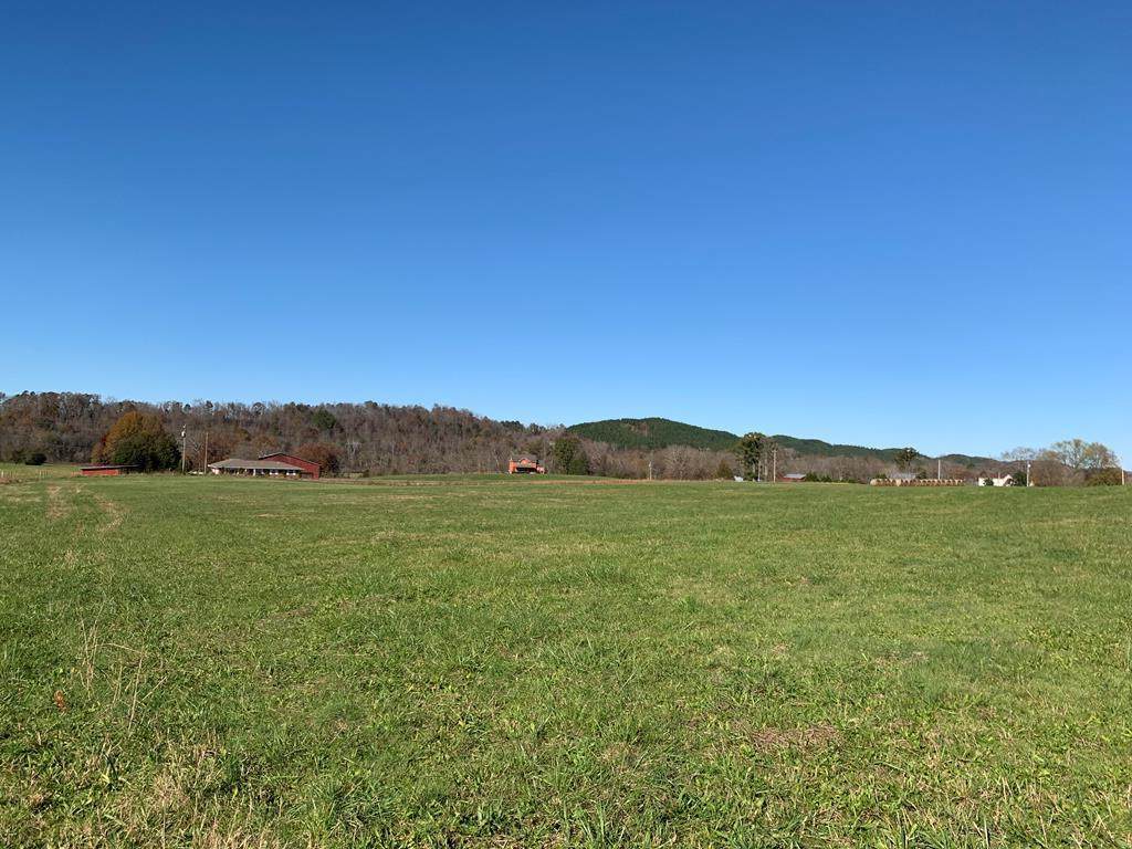 291 Thompson Bivens Road - Photo 1