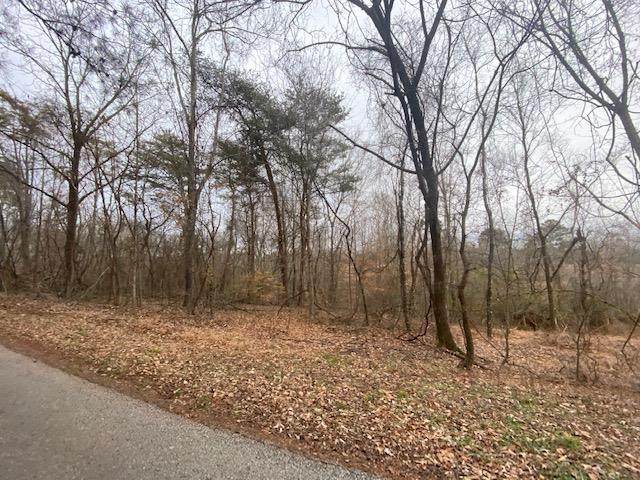 Lot 6 Randi Circle - Photo 1