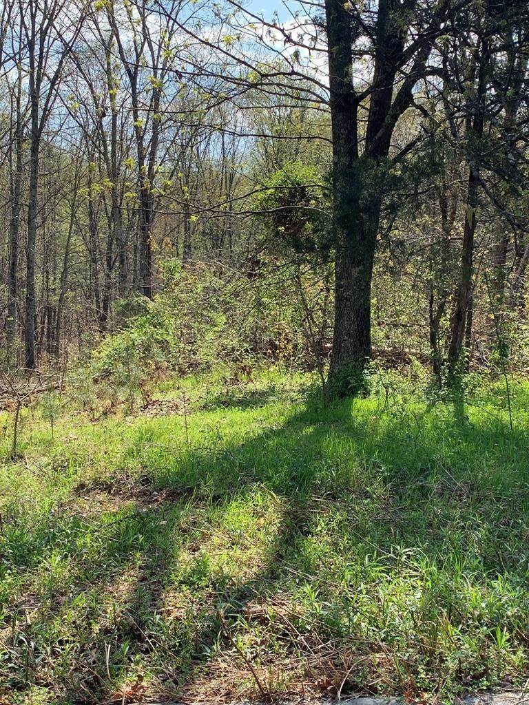 975 County Road 316 - Photo 1