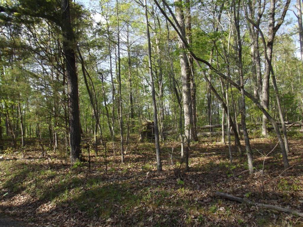 Lot 186 Scenic Lakeview Drive - Photo 1