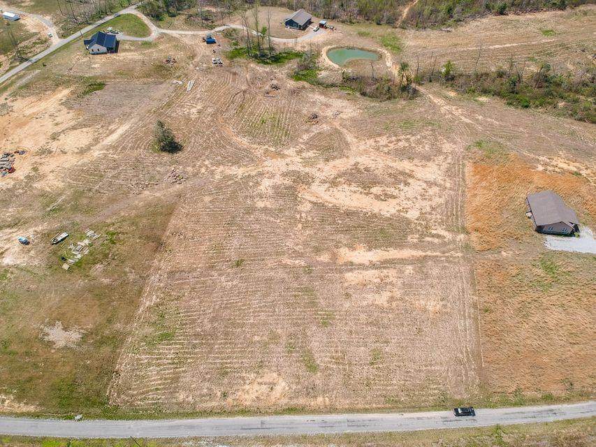 18.84 Acres Doc Loy Road - Photo 1