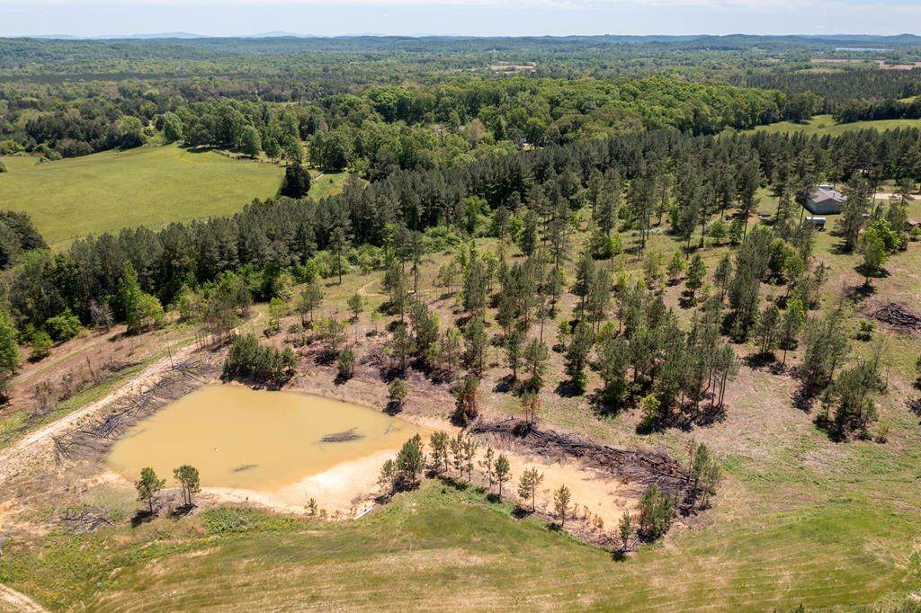 10 acres Tom Garrison - Photo 1