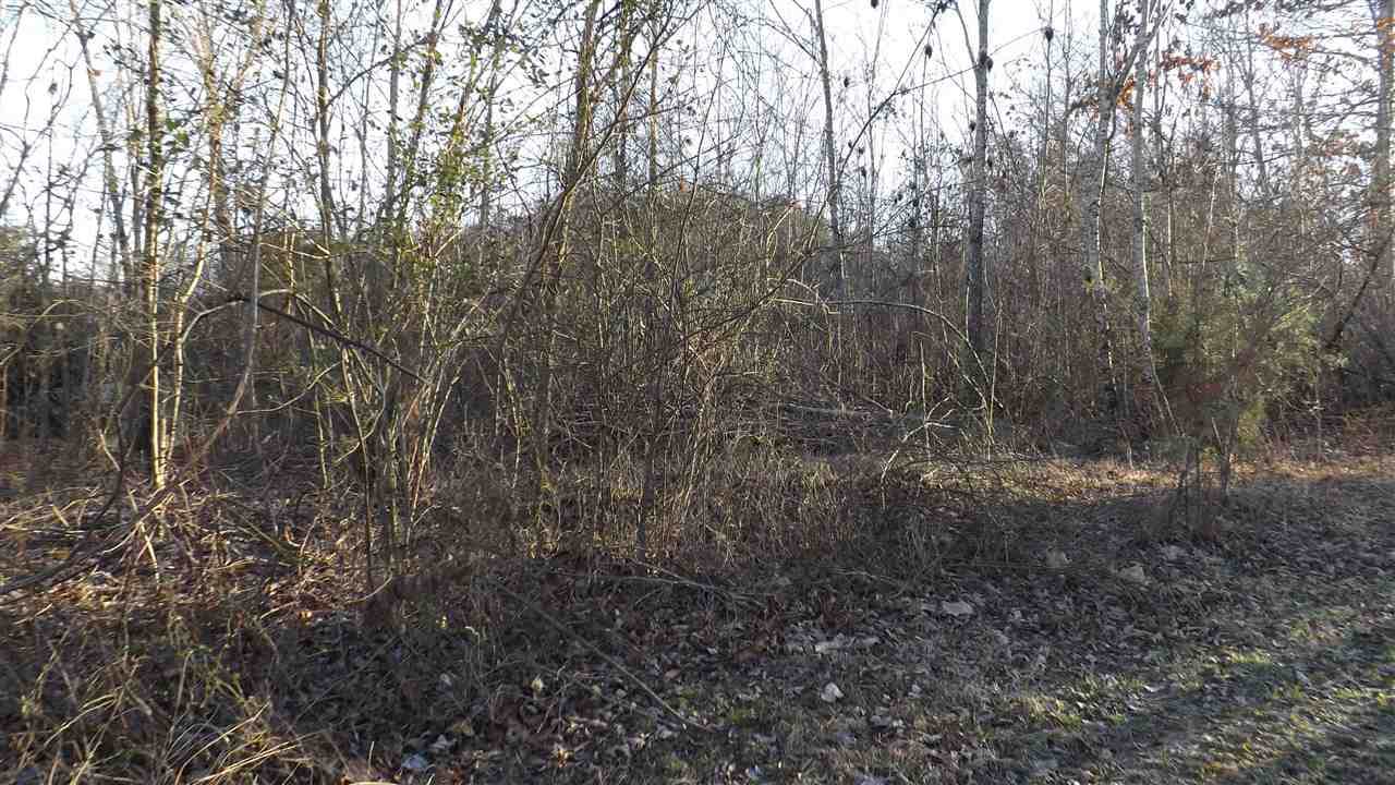 Lot 2 Tennessee Street - Photo 1