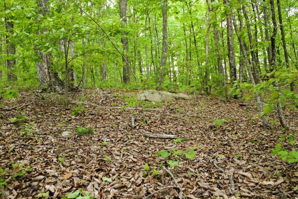 Lot 22 Gray Creek Road - Photo 1