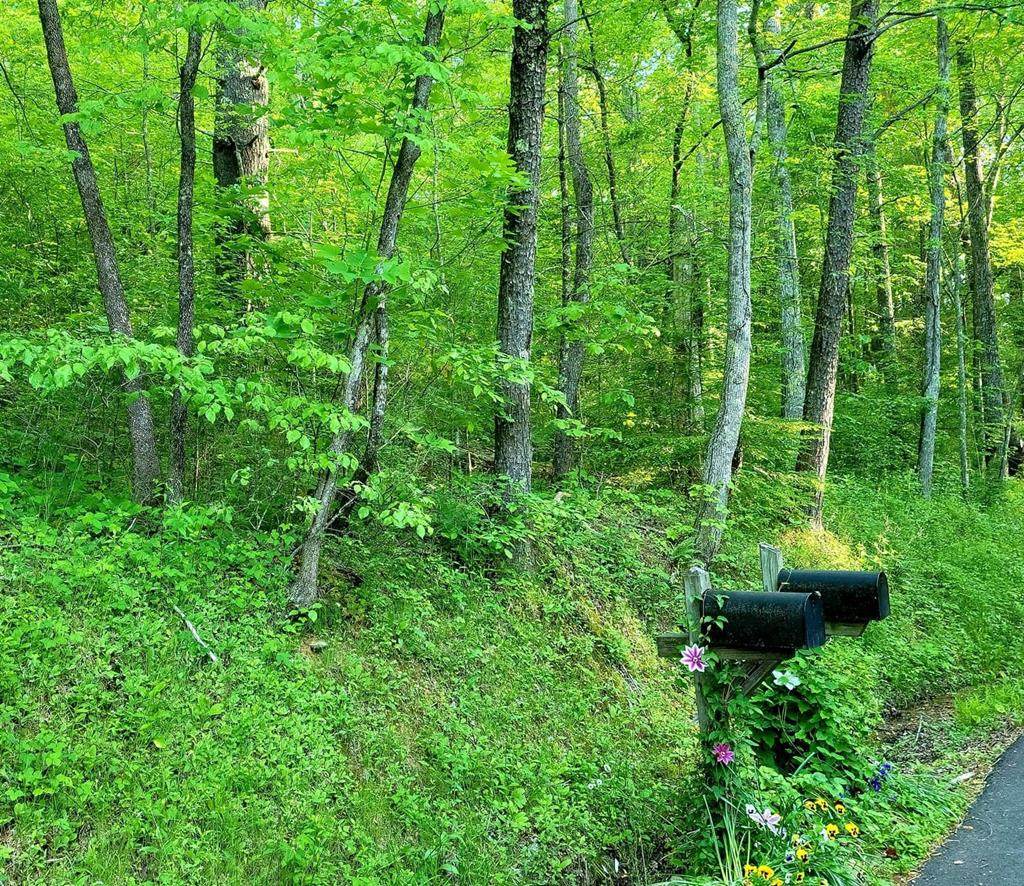 10 Ac Pond Ridge Rd - Photo 1